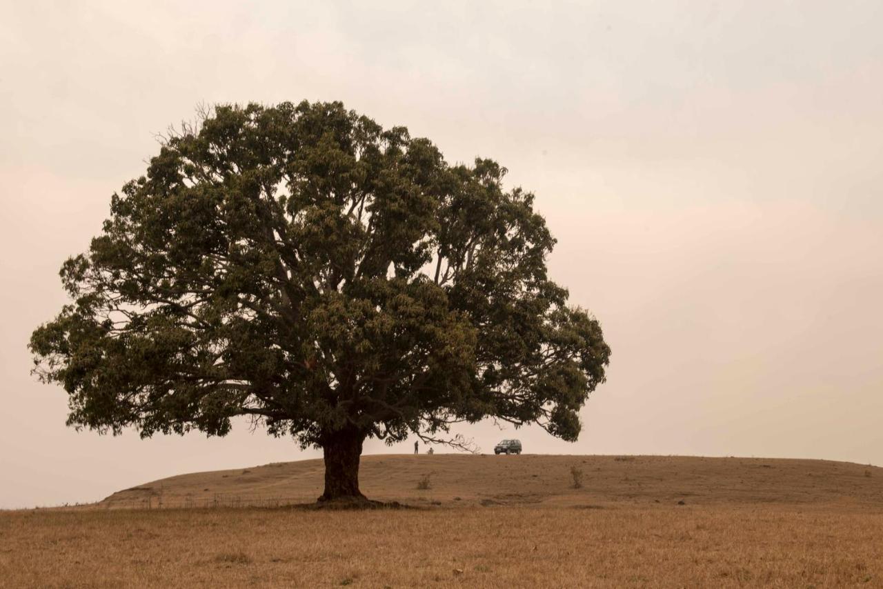 Behrai Baghvan Pench National Park - A Taj Safari Lodge מראה חיצוני תמונה